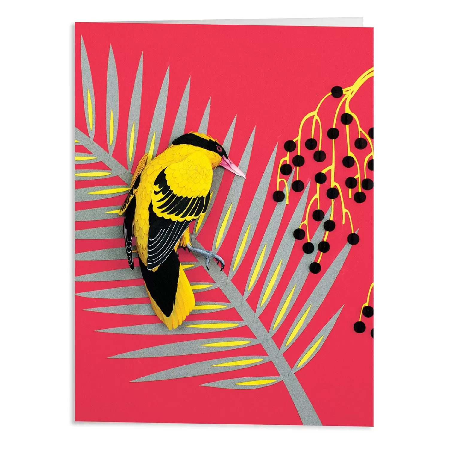 Greeting & Note Cards*Galison Birds Of The World Greeting Assortment Notecard Set