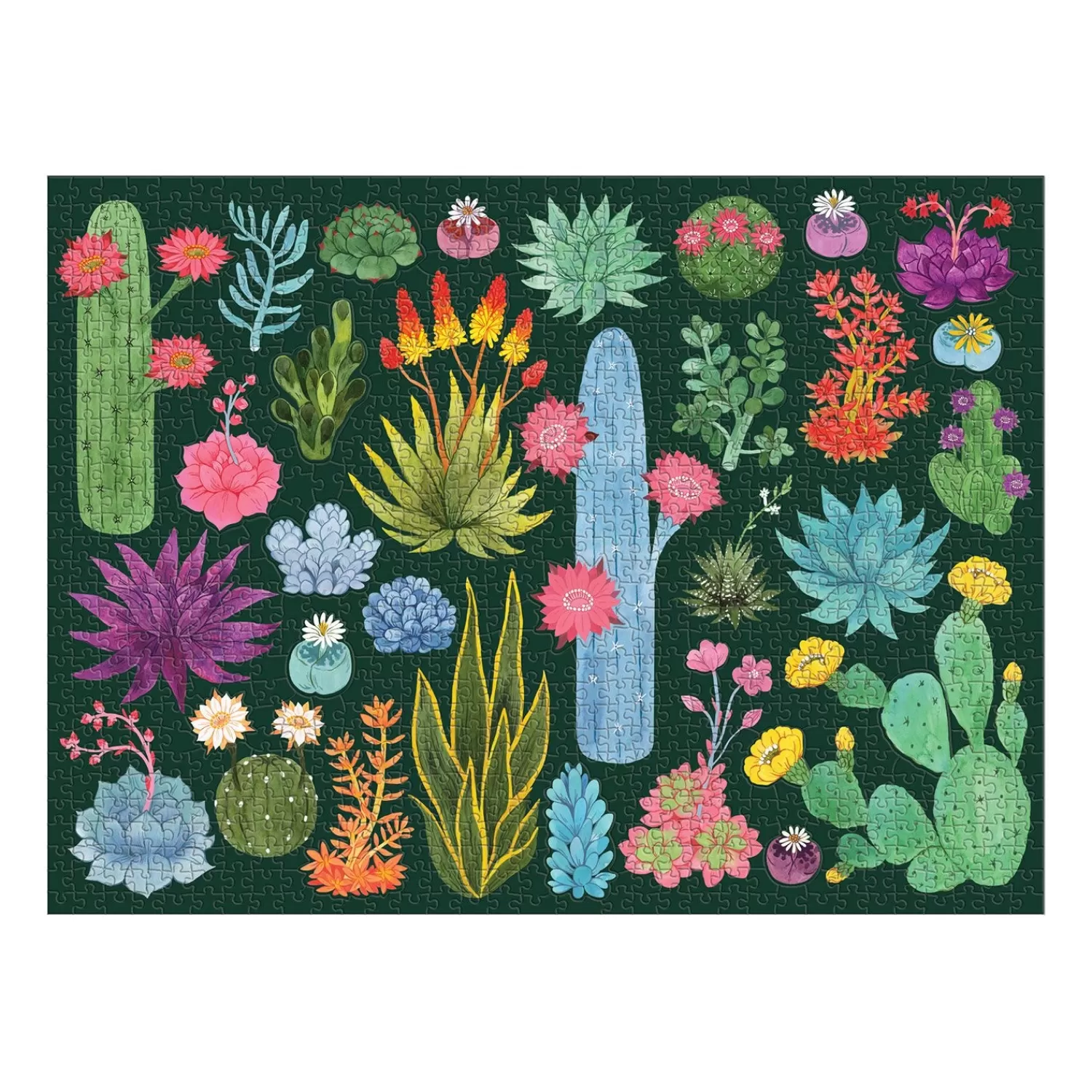 1000 Piece Puzzles*Galison Desert Flora 1000 Piece Jigsaw Puzzle With Shaped Pieces