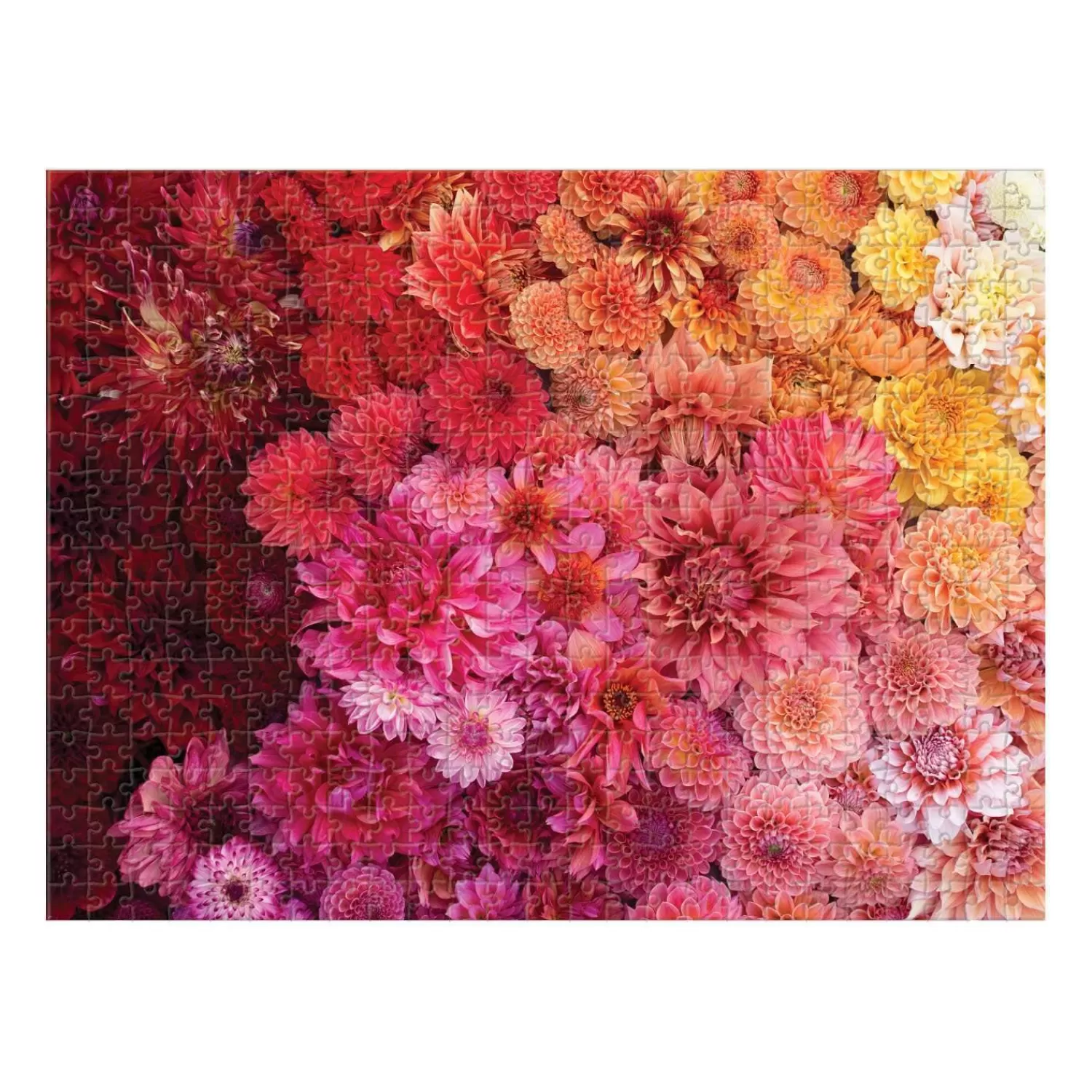 500 Piece Puzzles*Galison Floret Farm's Cut Flower Garden Double-Sided 500 Piece Jigsaw Puzzle