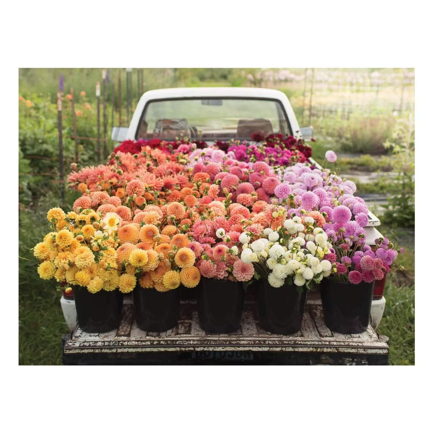 500 Piece Puzzles*Galison Floret Farm's Cut Flower Garden Double-Sided 500 Piece Jigsaw Puzzle