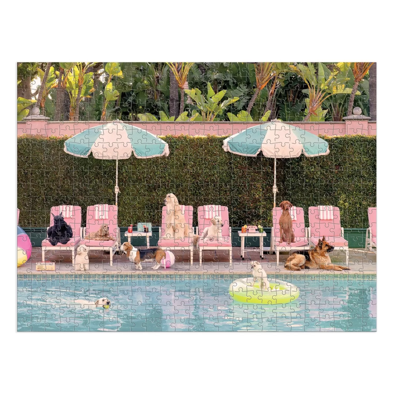 500 Piece Puzzles*Galison Gray Malin The Dogs At The Beverly Hills Hotel 500 Piece Double-Sided Puzzle