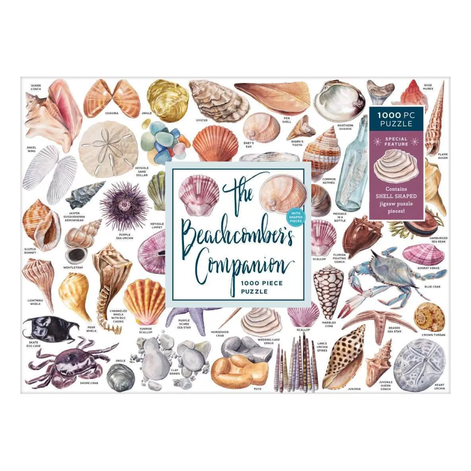 1000 Piece Puzzles*Galison The Beachcomber's Companion 1000 Piece Jigsaw Puzzle With Shaped Pieces
