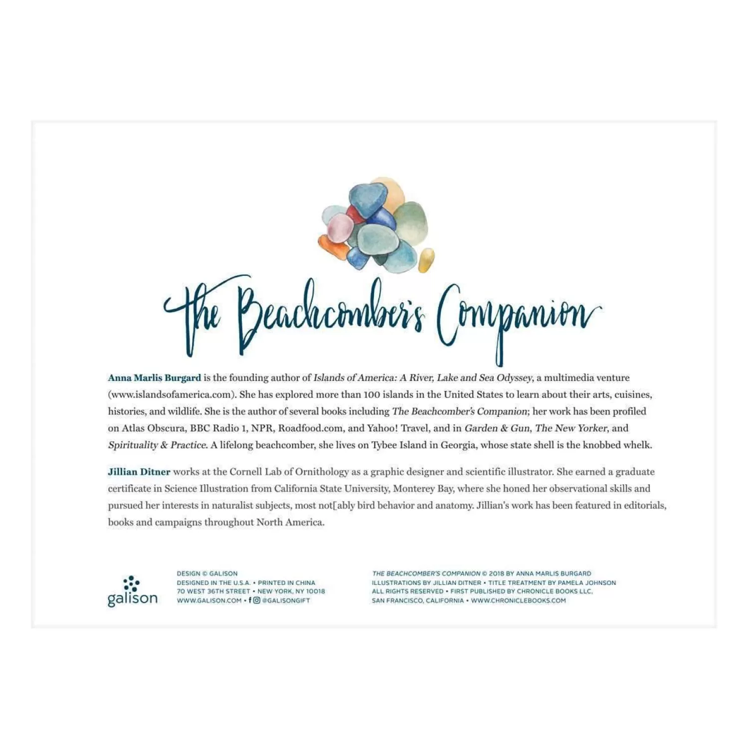 1000 Piece Puzzles*Galison The Beachcomber's Companion 1000 Piece Jigsaw Puzzle With Shaped Pieces
