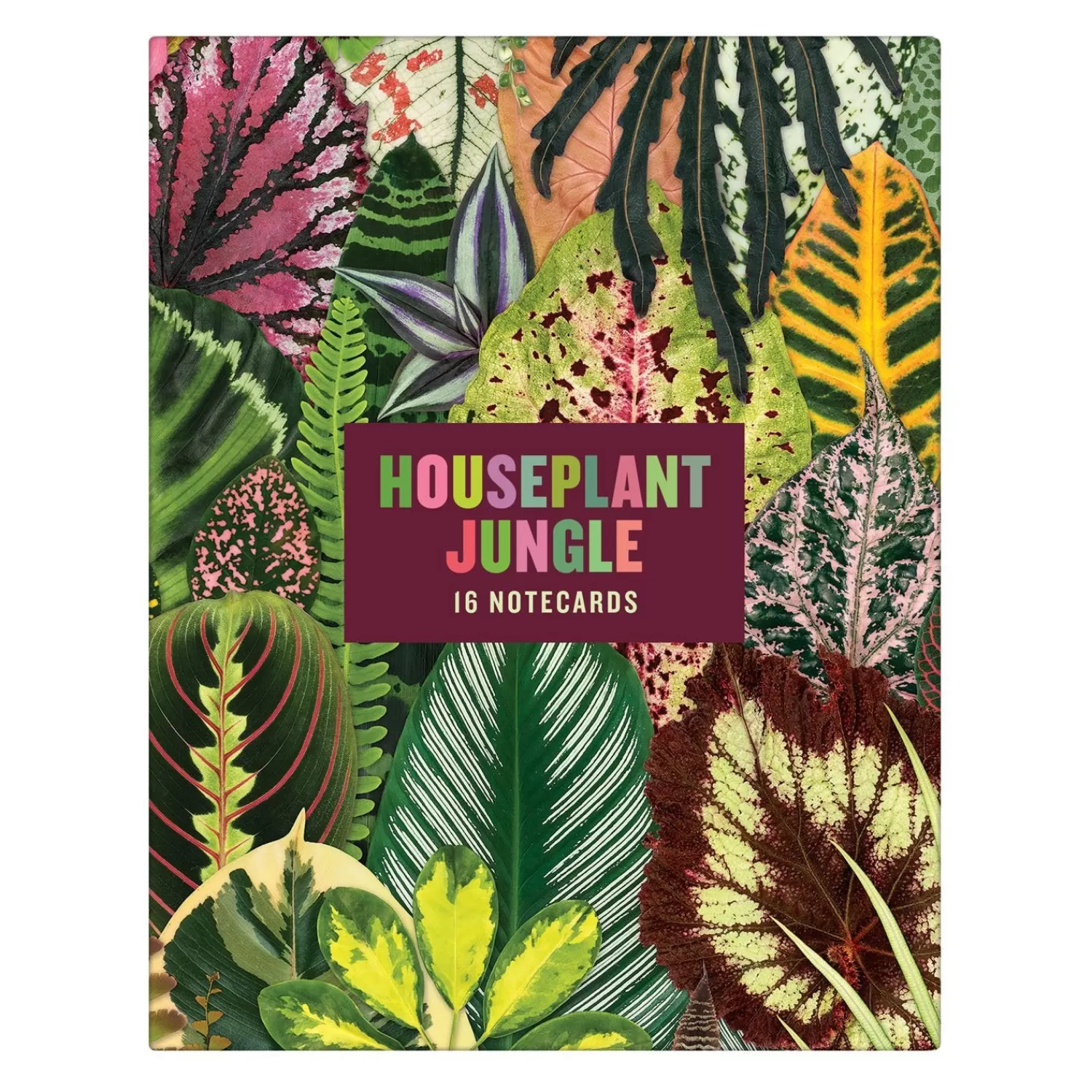 Greeting & Note Cards*Galison Troy Litten Houseplant Jungle Greeting Assortment Notecards