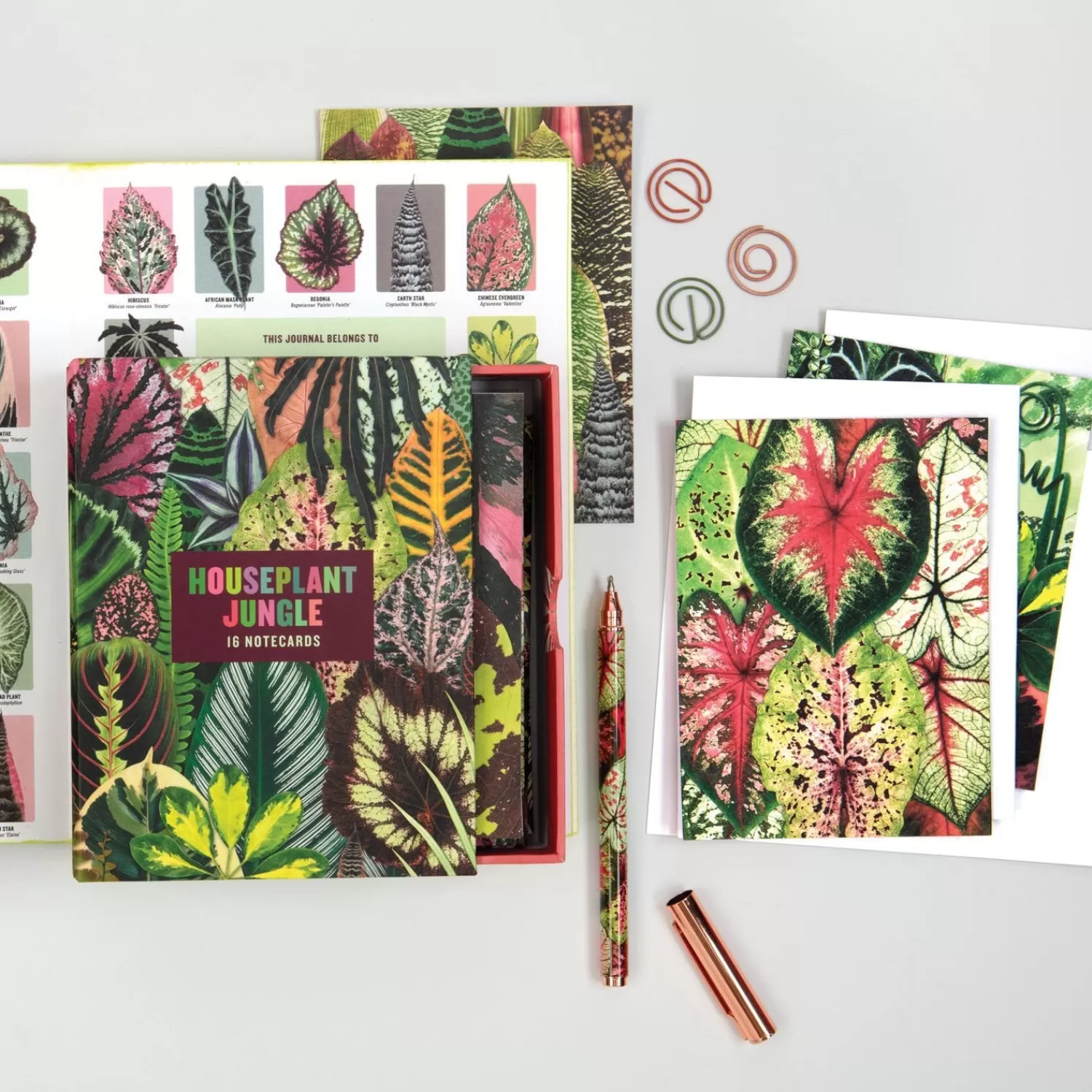 Greeting & Note Cards*Galison Troy Litten Houseplant Jungle Greeting Assortment Notecards
